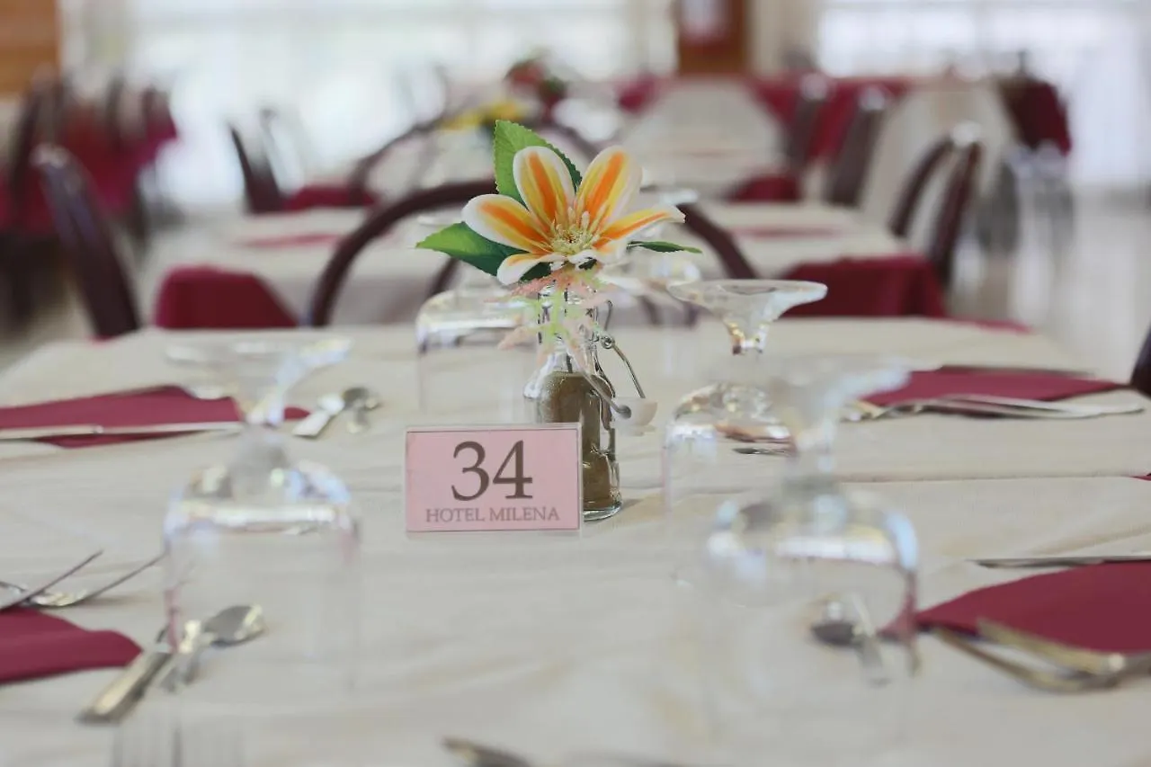 Hotel Milena Rimini