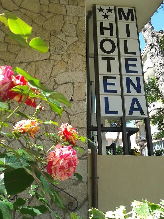 Hotel Milena Rimini 3*,